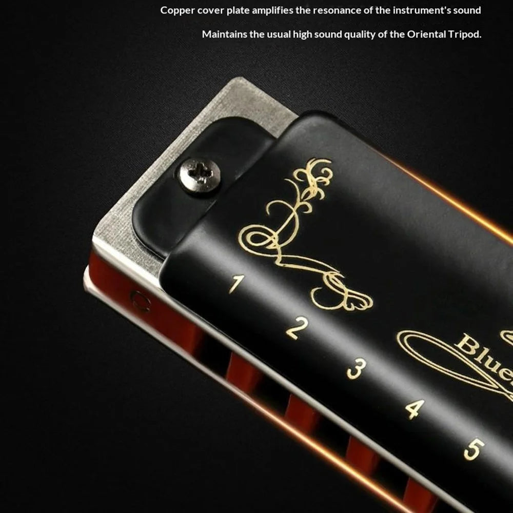 EASTTOP 008K 10 Hole Blues Harmonica Multi-Key Copper Cover Phosphor Bronze Reeds for Blues Country Jazz - A Key / Black - 5