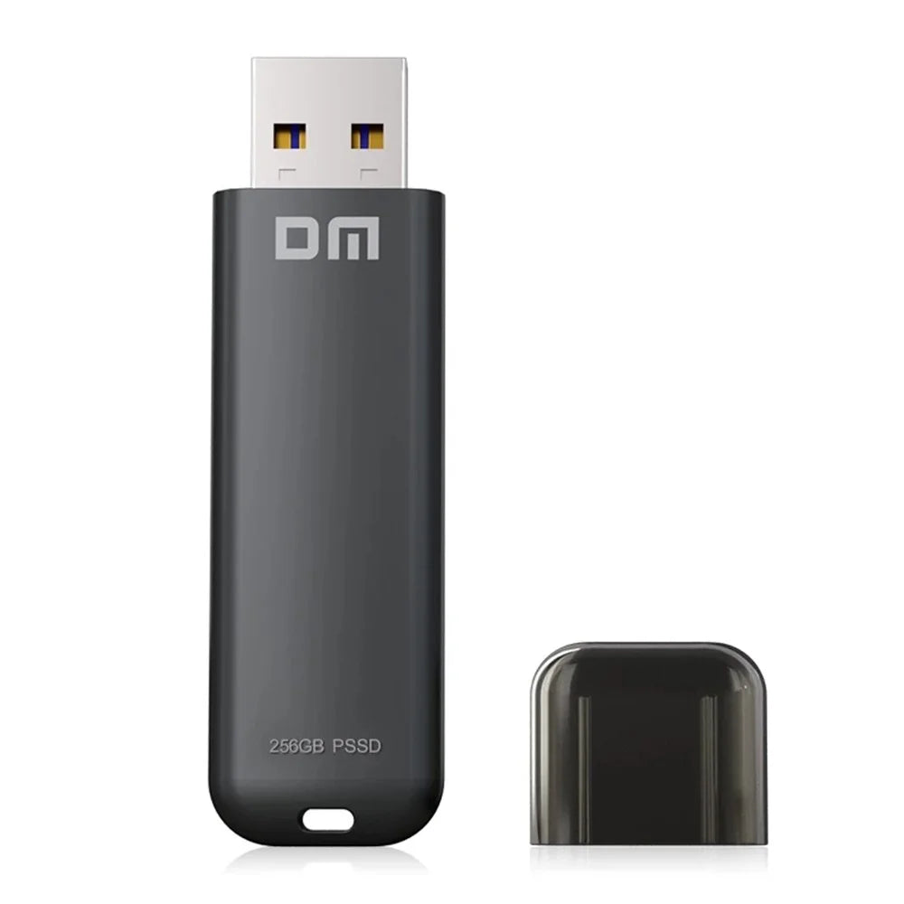 DM FS390 USB3.1 256GB Portable Solid State USB Flash Drive Zinc Alloy PC External Solid State U-disk - 1