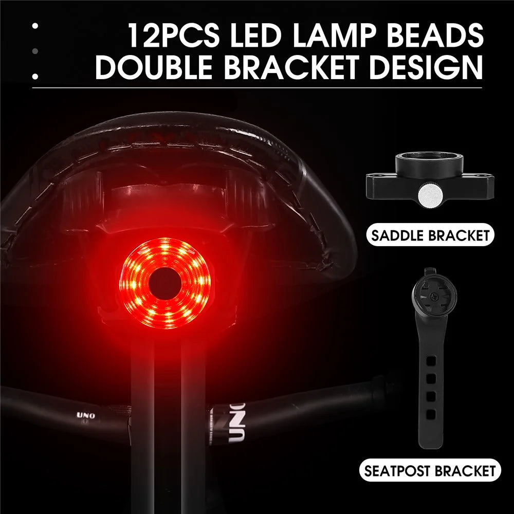 WEST BIKING YP0701317 USB Rechargeable Bike Cycling LED Tail Light Waterproof Bicycle Smart Brake Induction Warning Rear Lamp - Seat Post Tail Light - 6