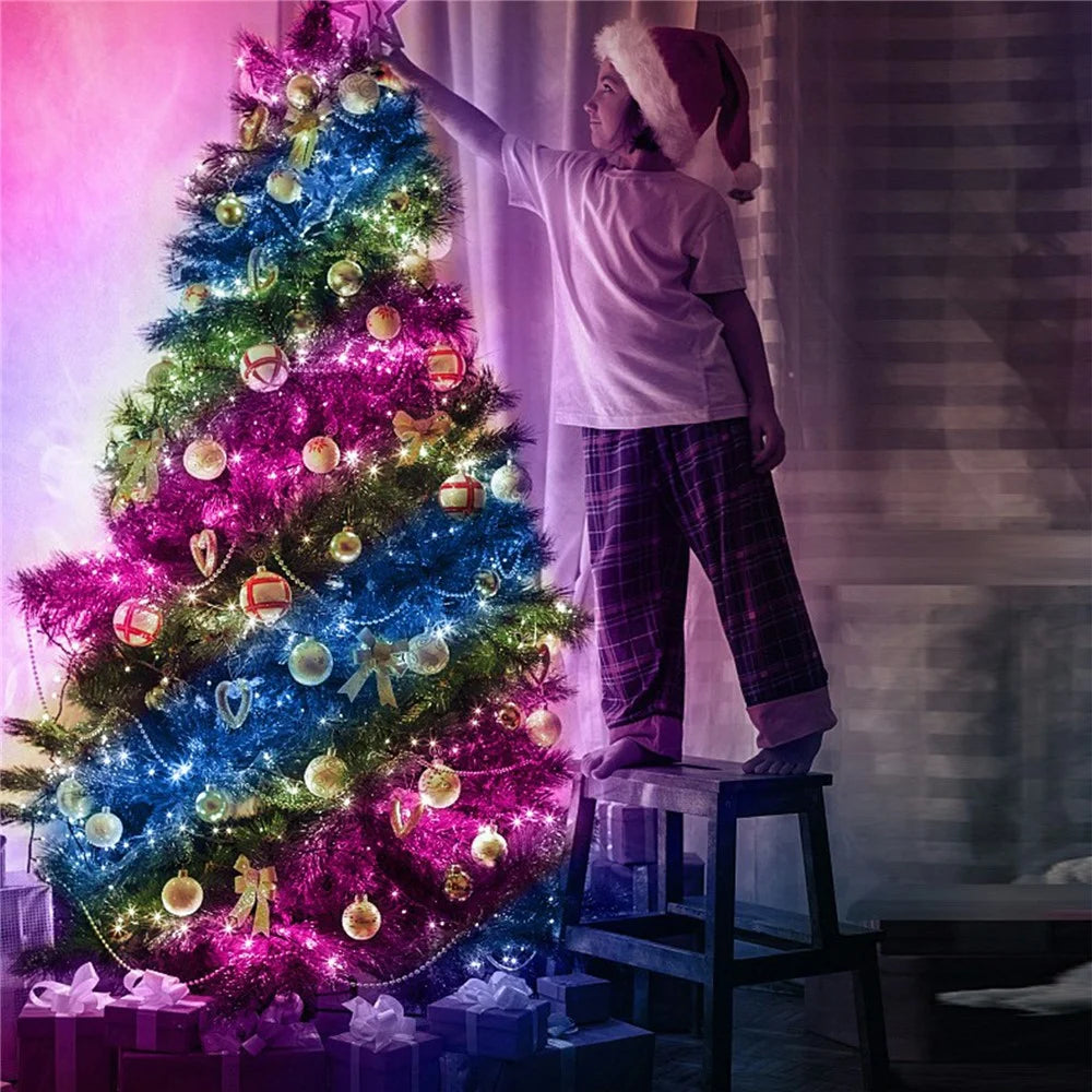 LPX041 Smart LED String Lights 10M 100 LEDs WiFi / BT APP Control RGBIC Christmas Decoration Lighting - 7