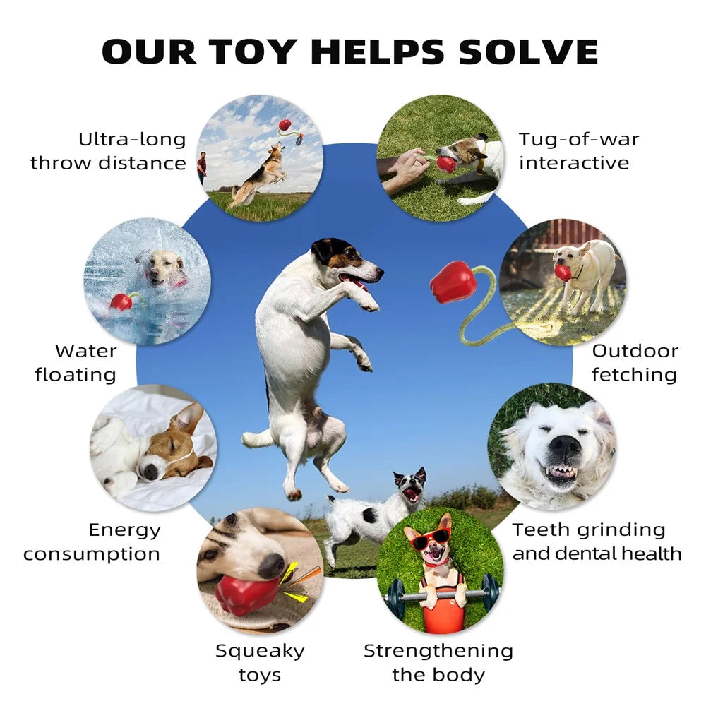 HWPG-01 Dog Fetch Catch Throw Toy Apple Fruit Pet TPR Toy Gift (BPA Free, CPC / FDA / RoHS Certified) - Red - 3