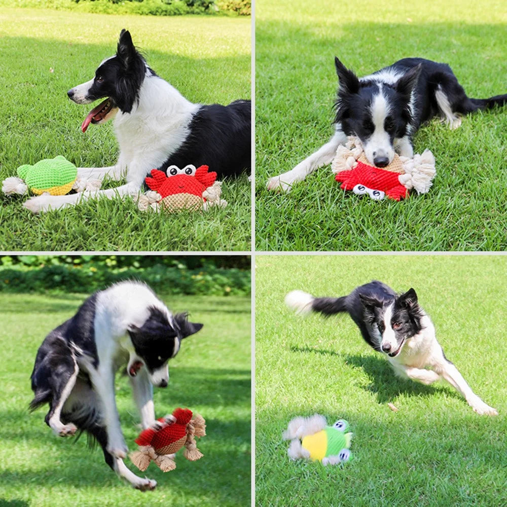 Bite Training Tug Interactive Plush Toy Pet Dog Squeaking Sound Chewing Toy ST - Frog - 4