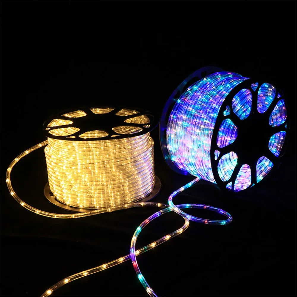 100m IP68 Waterproof 8 Modes 220V PVC LED Strip Light Outdoor Decor, Constant Light EU Plug - White - 3