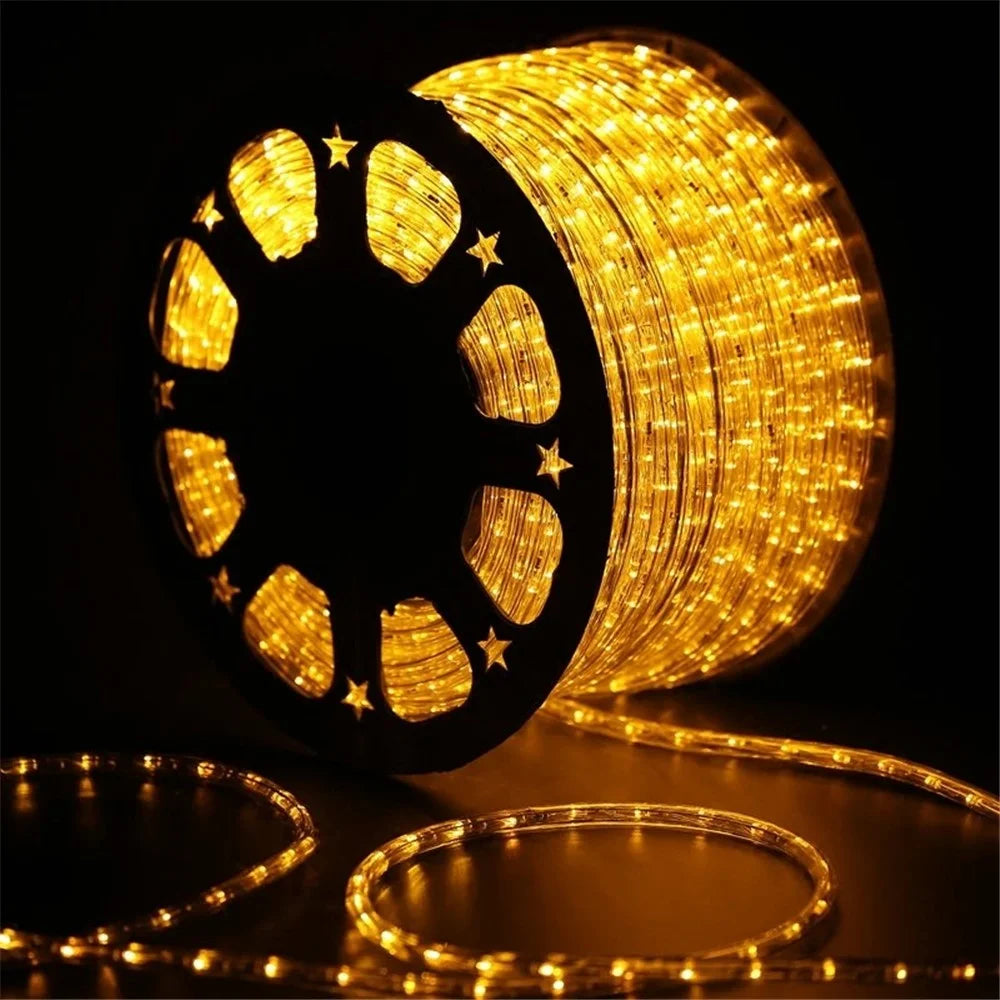 100m IP68 Waterproof 8 Modes 220V PVC LED Strip Light Outdoor Decor, Constant Light EU Plug - White - 7