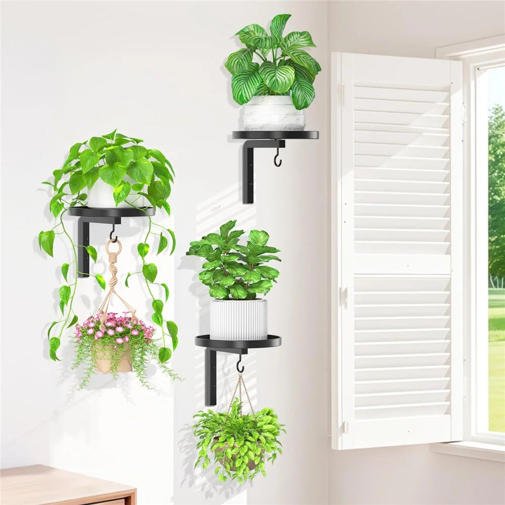 3Pcs Wall-Mounted Plant Stand Metal Hooks Indoor Outdoor Garden Decor Hanging Bracket with Anti-Fall Rim (Without Flowerpot) - Black - 6