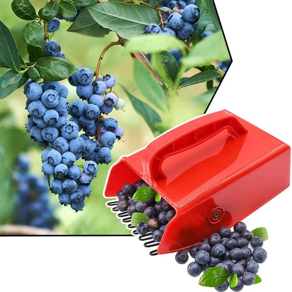 Berry Picker Blueberry Lingonberry Scoop Metal Comb Ergonomic Handle Design Berry Picking Rake Tool (BPA Free, No FDA Certificate) - 3