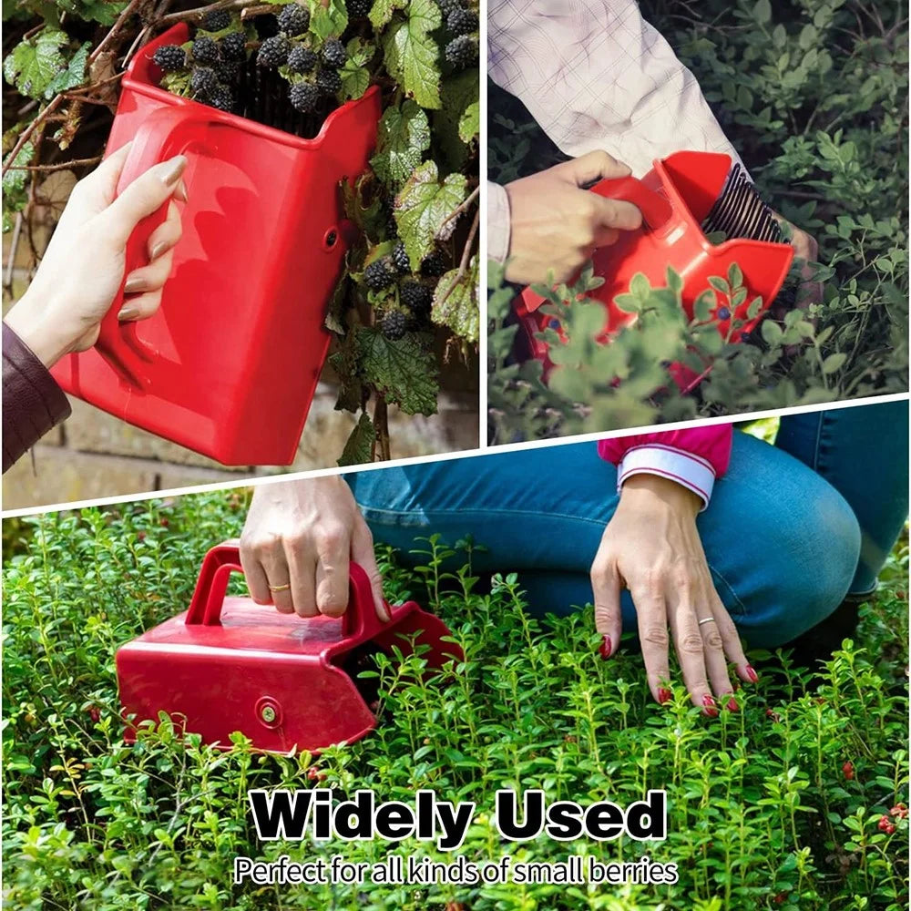 Berry Picker Blueberry Lingonberry Scoop Metal Comb Ergonomic Handle Design Berry Picking Rake Tool (BPA Free, No FDA Certificate) - 6