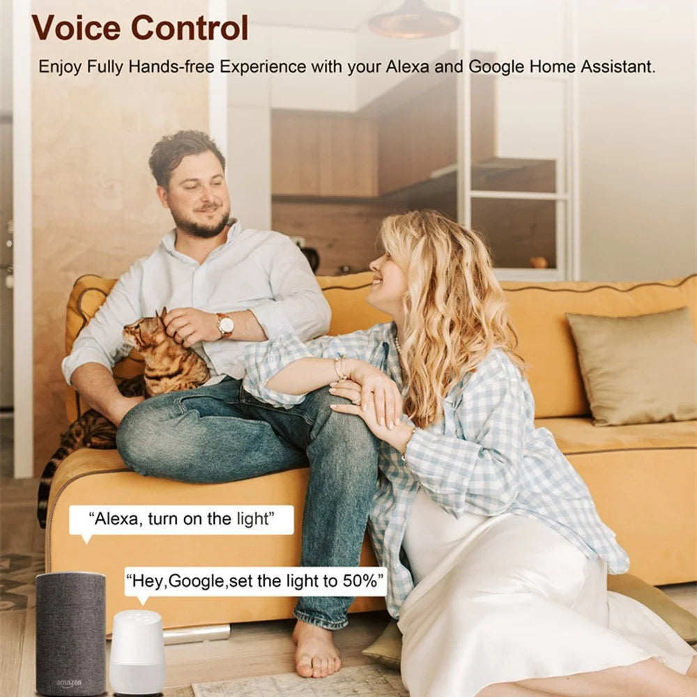 DM01 2 Gang WiFi Smart Light Switch Voice Control Timer Dimmer Module Remote Lighting Controller - 3
