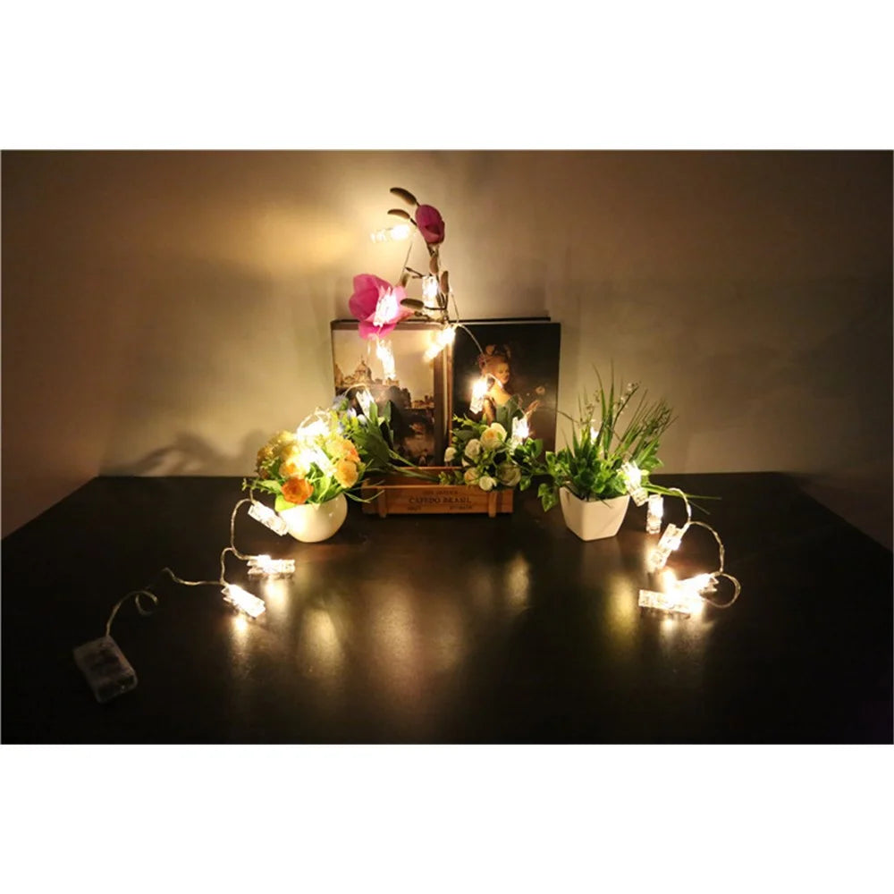 5 Meters 40 LED Photo Clip String Lights with Remote Control 8 Modes Choice Battery Operated Photo Clips - Warm White - 7