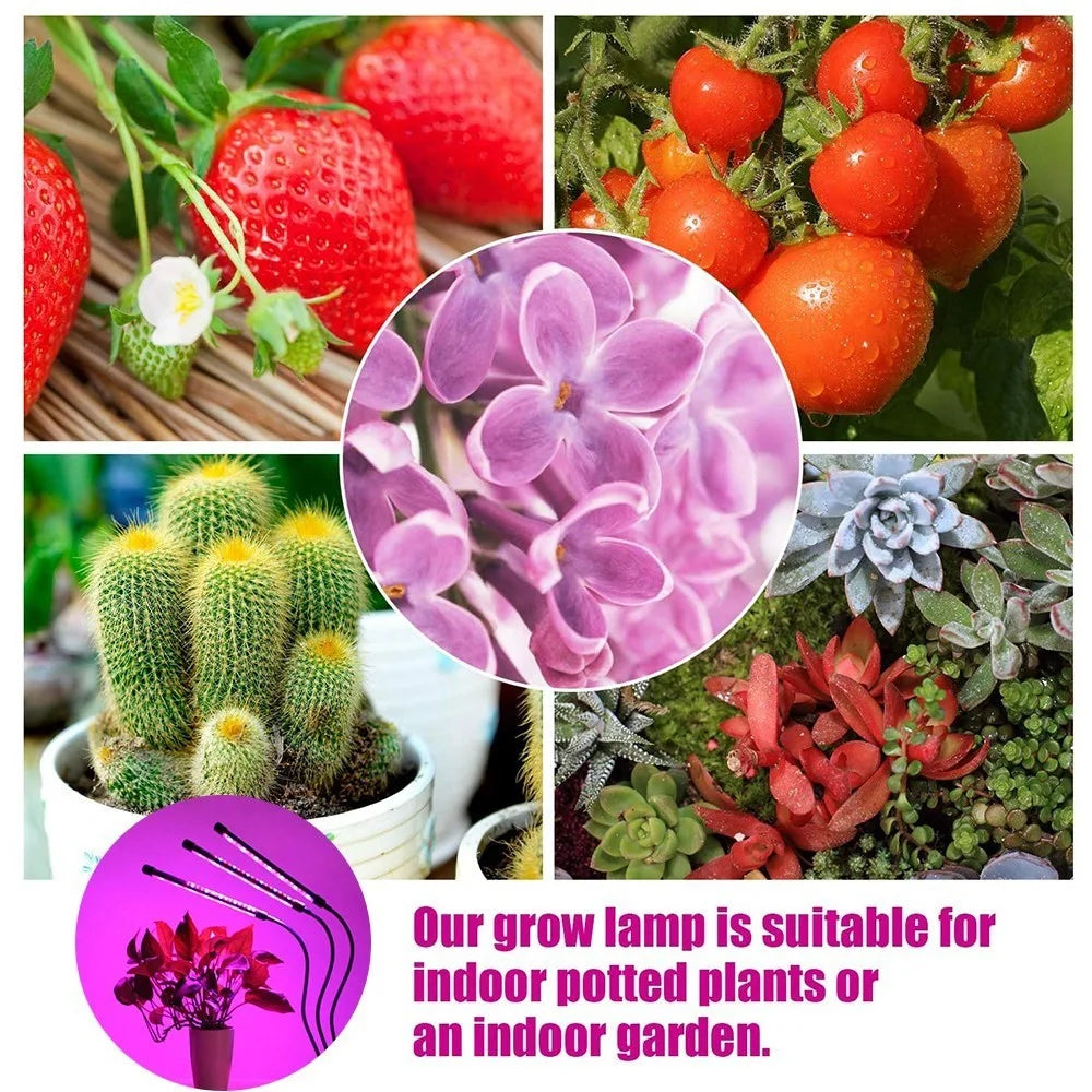 3-Head Grow Light 60 LED Light Bulb Plant Growing Lamps with Adjustable Arm Auto ON/Off Intelligent Timing 10 Levels Brightness for Indoor Plants - 4