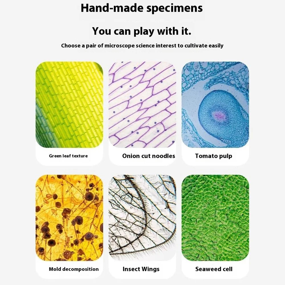 2507 Portable Handheld Microscope with Stand for Kids 180X Magnification STEM Optical Microscope Educational Tool - Brown - 6