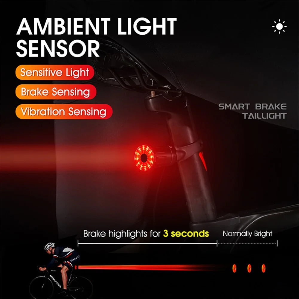 WEST BIKING YP0701317 USB Rechargeable Bike Cycling LED Tail Light Waterproof Bicycle Smart Brake Induction Warning Rear Lamp - Seat Post Tail Light - 3