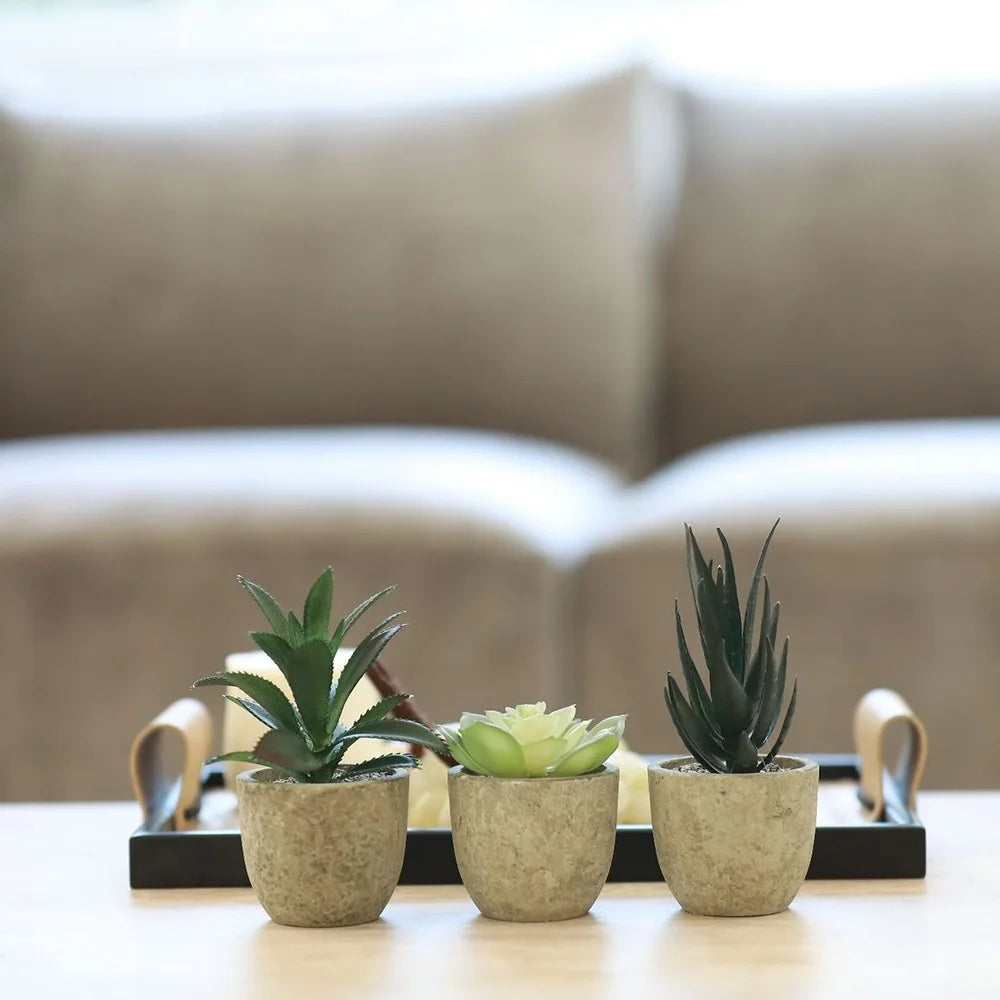 24Pcs Simulation Succulents Evergreen Mini Bonsai Fake Potted Plant Desktop Decor - DZ003 - 2