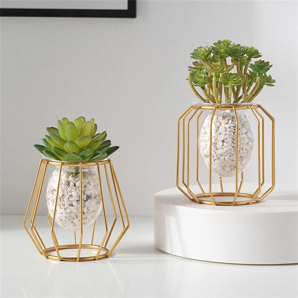 Hydroponic Vase Plant Holder Green Plants Support Container for Home / Office Desk Decor - Rhombus - 3