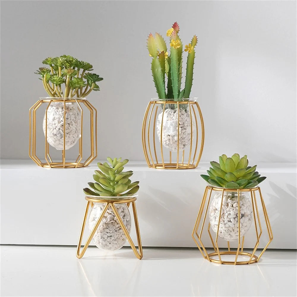 Hydroponic Vase Plant Holder Green Plants Support Container for Home / Office Desk Decor - Rhombus - 5