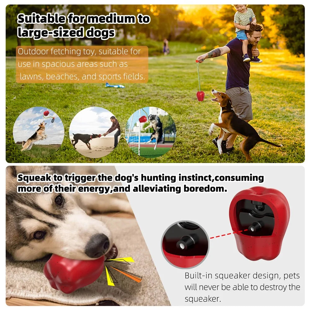 HWPG-01 Dog Fetch Catch Throw Toy Apple Fruit Pet TPR Toy Gift (BPA Free, CPC / FDA / RoHS Certified) - Red - 5