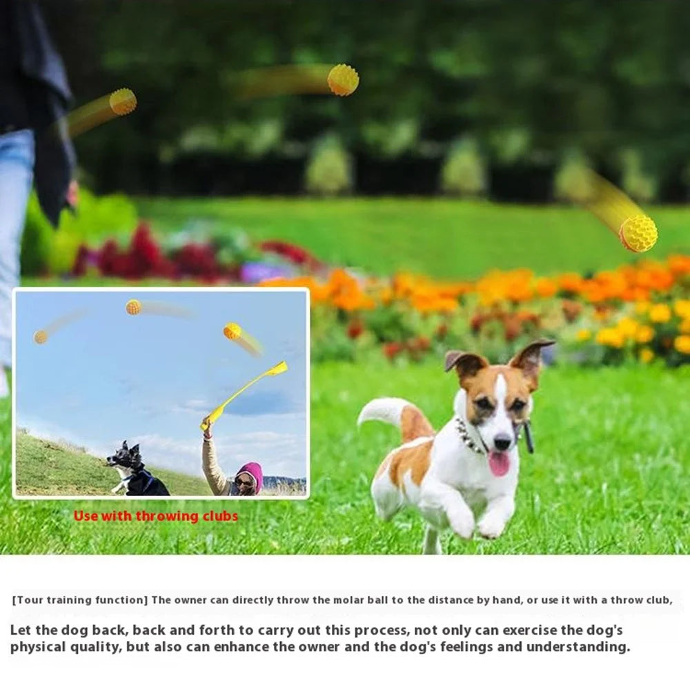 Pet Dog Squeaky Toy Gift Teething Chew Ball for Dental Cleaning Puppy Interactive Float Ball - Lake Blue - 6