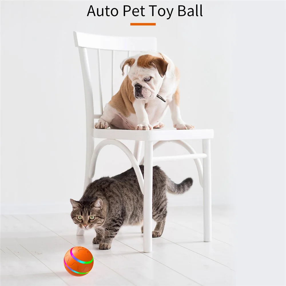 Bite Resistant Cat Dog Puppy Wicked Ball USB Rechargeable LED Light Electric Auto Pet Self-Playing Toy ST - Orange - 2
