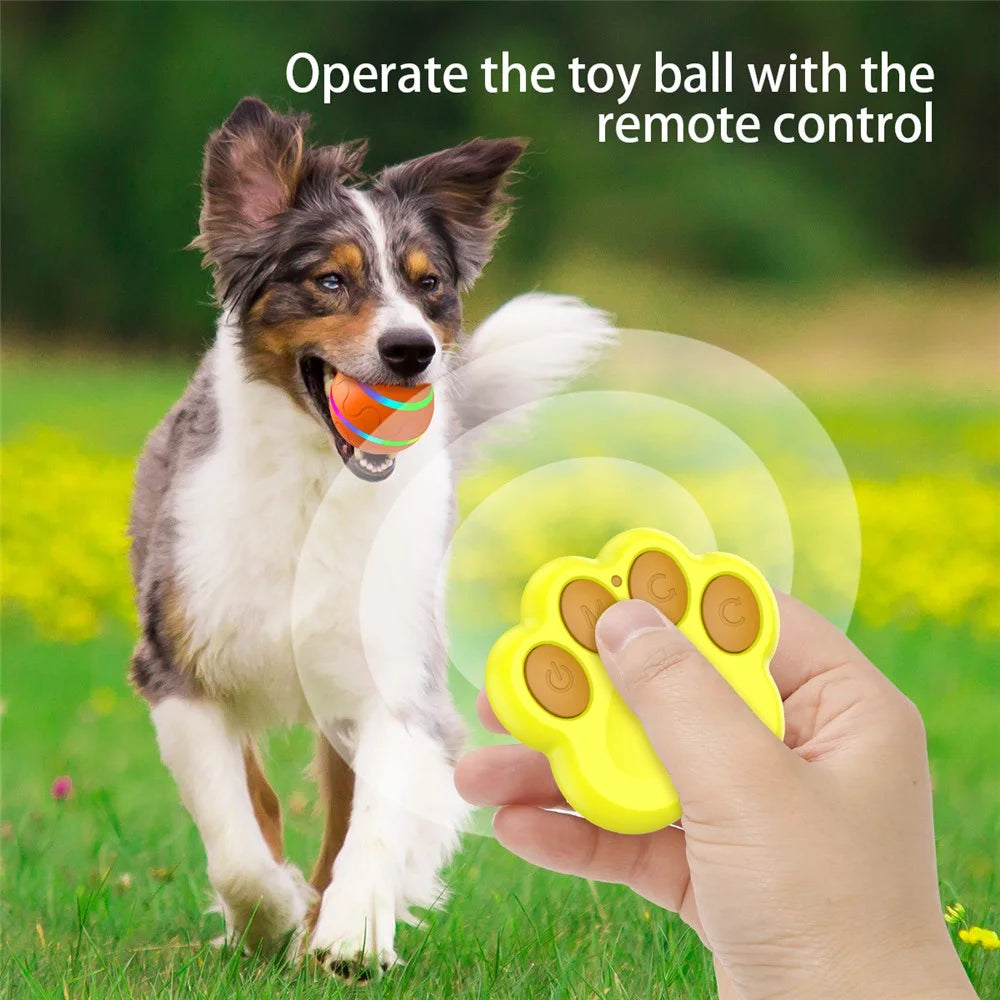 Cat Dog Puppy Wicked Ball USB Rechargeable LED Light Electric Self-Playing Toy with Remote Control ST - Orange - 2