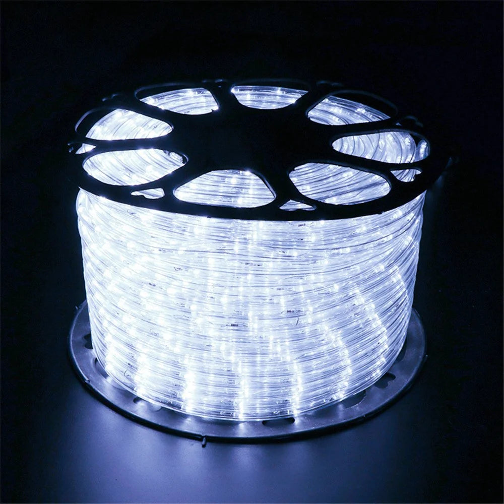 100m IP68 Waterproof 220V Flexible PVC LED Strip Light Outdoor Decor, 8 Modes EU Plug - White - 1