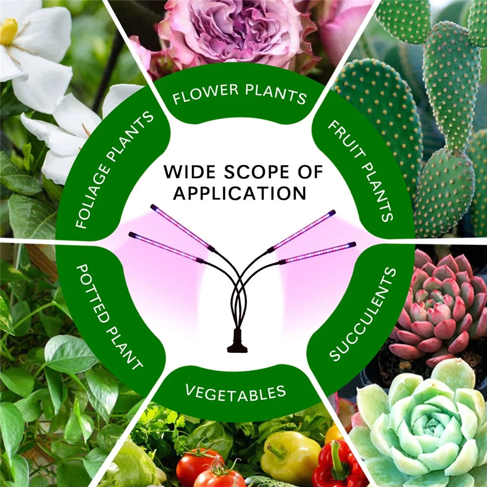 ZWD-5 Full Spectrum Plants Grow Lights Indoor Flowerpot Planter Lamp Succulent Plant Light with 9-Level Brightness - 2