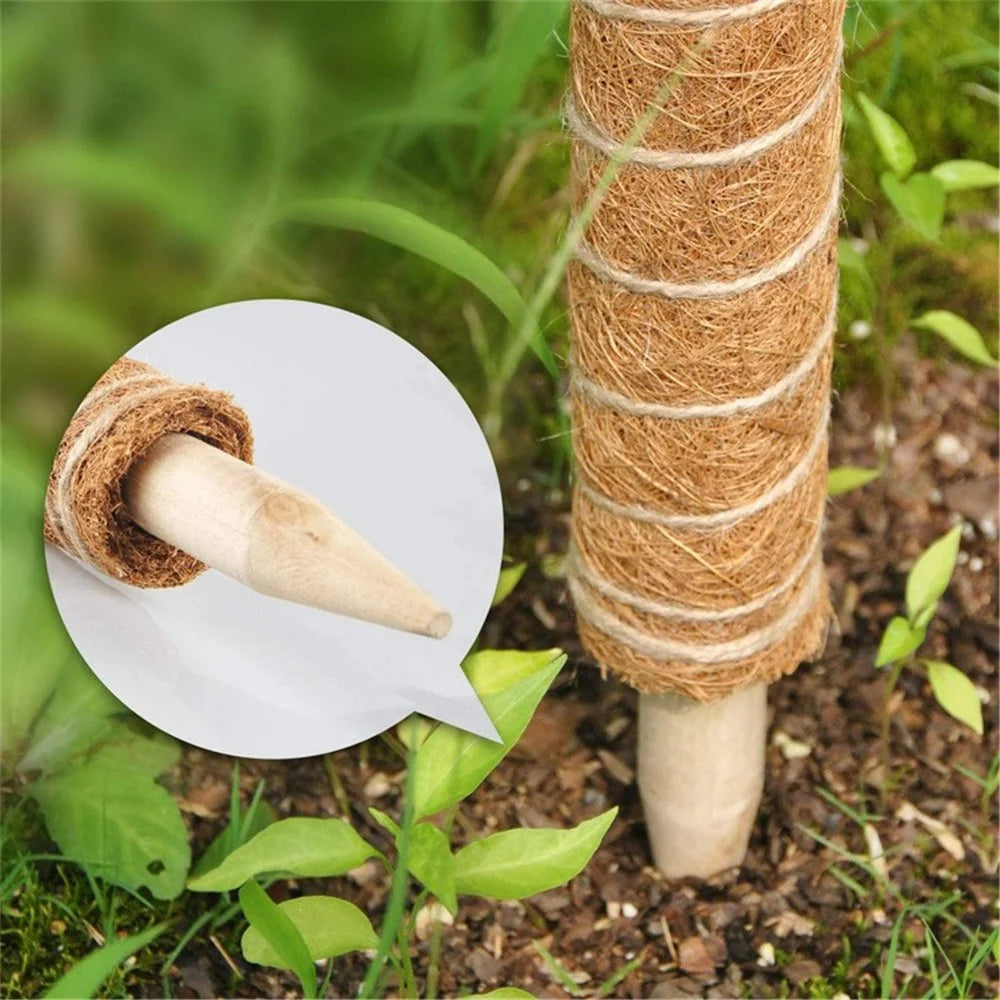 4Pcs 30cm Plant Climbing Rod Vine Climbing Coconut Palm Rod Plant Support Stick with Tools - 2