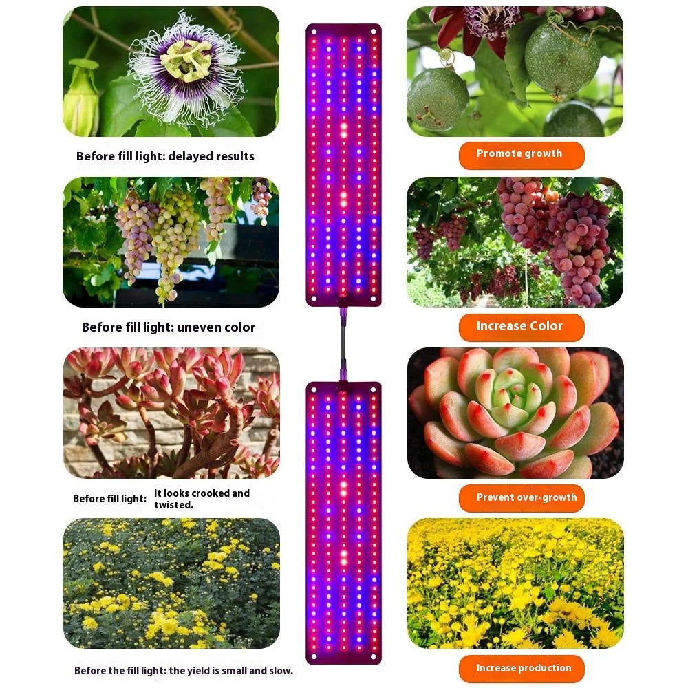 12V 4-Panel Plant Seedling Growth Light 6 Brightness Plant Shelf Fill Light, EU Plug - Red+Blue Light - 4