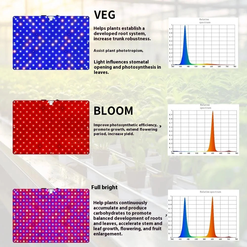 Style G Rectangular Desktop Plant Grow Light VEG and Bloom Segmented Full Spectrum Growing Lamp, EU Plug - 4