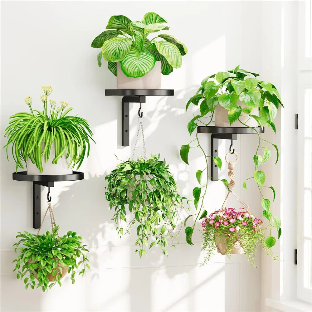 3Pcs Wall-Mounted Plant Stand Metal Hooks Indoor Outdoor Garden Decor Hanging Bracket with Anti-Fall Rim (Without Flowerpot) - Black - 1
