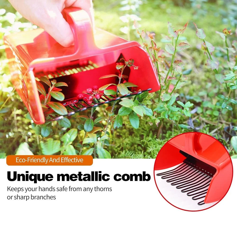 Berry Picker Blueberry Lingonberry Scoop Metal Comb Ergonomic Handle Design Berry Picking Rake Tool (BPA Free, No FDA Certificate) - 4