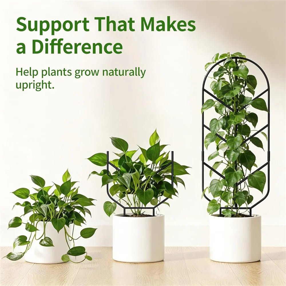 1Pc 30 inch Plant Trellis Solid Steel Rust-Resistant Arch Top Garden Stake for Indoor Outdoor Climbing Plants - Black - 2