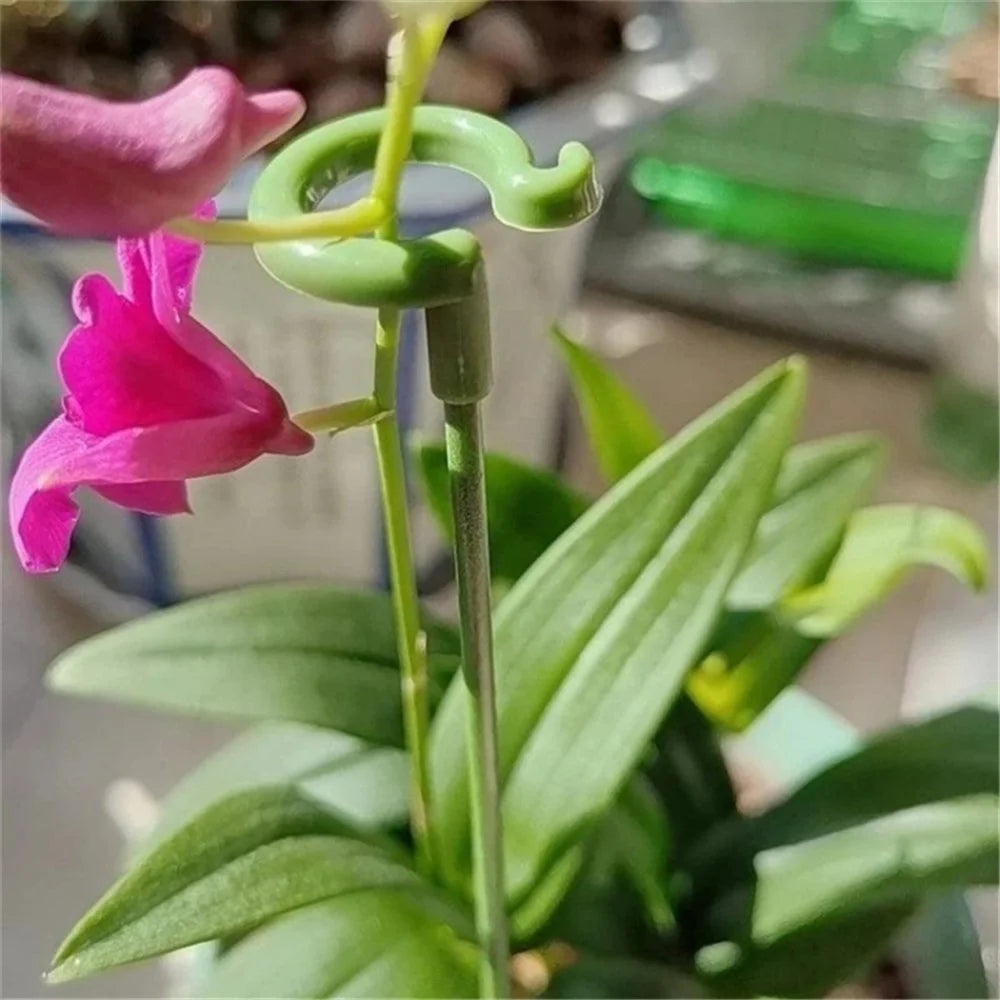 10PCS 27CM Fiberglass Plant Stake Garden Single Stem Support Stake Plant Cage Ring for Orchid Rose Tomato - 4