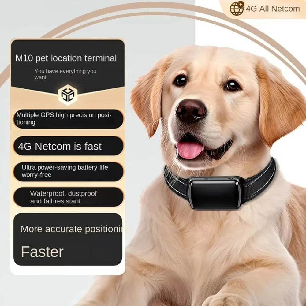 Pet GPS Tracker 4G Real Time Animal Collar Locator for Dogs - Black, 4G Eurasia - 4