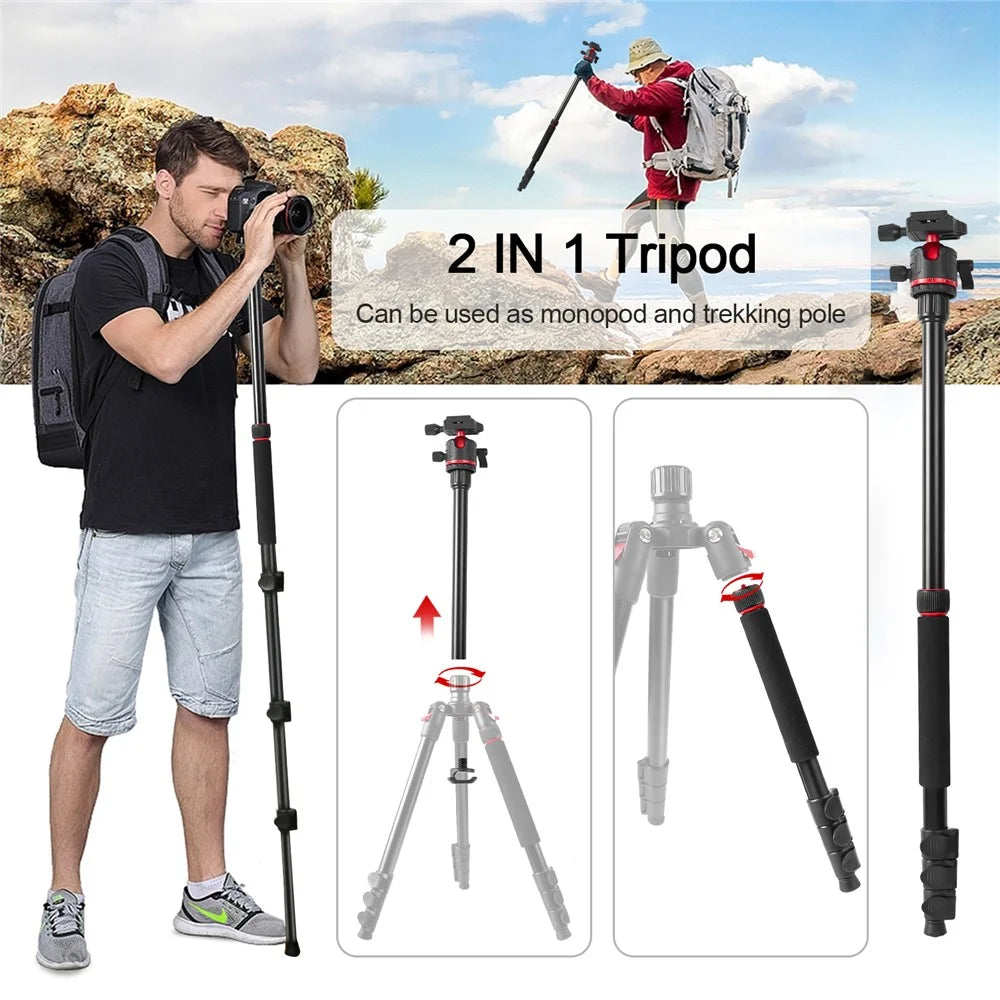 ZOMEI Q173 Camera Tripod 4-Section Retractable Multi-Function Tripod Micro SLR Mobile Phone Live Streaming Stand - 5