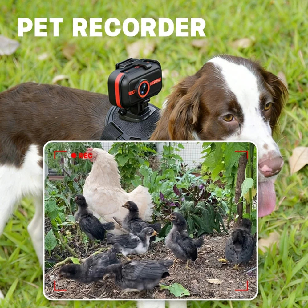 LK2317 4K Action Camera EIS Stabilization Magnetic Pet Cycling Sports Camera with Full Accessories - Black - 2